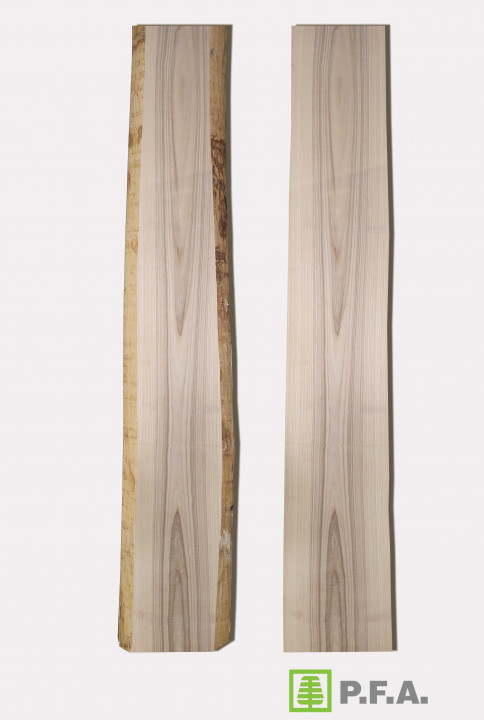 JASEŇ ŠTANDARD 50 mm