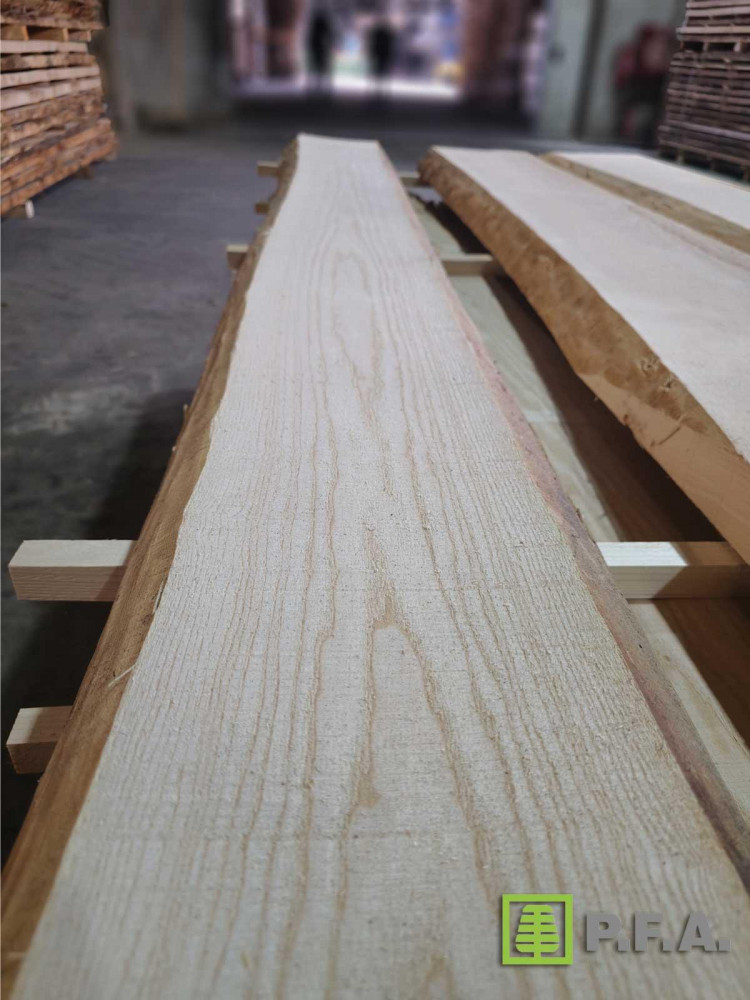 JASEŇ PREMIUM PRO 50 mm